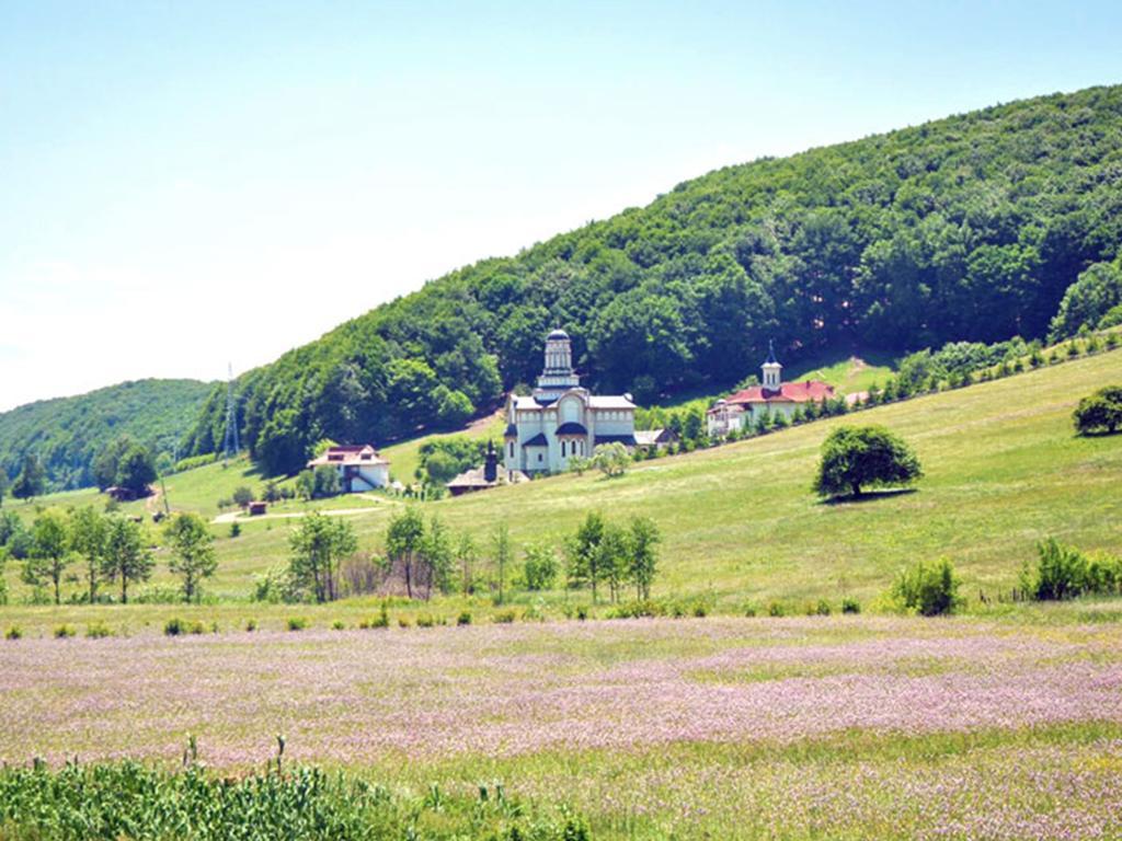 Hostal Casa Bradet Întorsura Buzăului Exterior foto