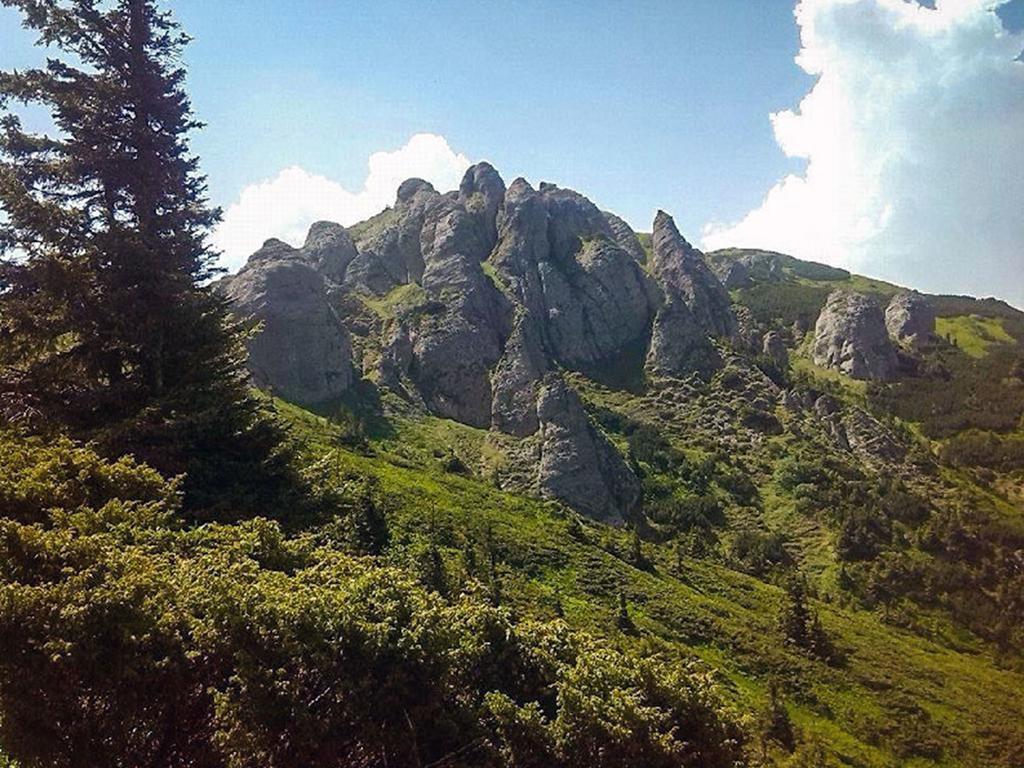Hostal Casa Bradet Întorsura Buzăului Exterior foto